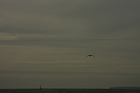 19.08.2013 12:03:22
Sassnitz
Ostsee 2013
Ostsee-Fotos