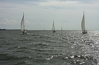 10.08.2014 11:17:48
August 2014
Ostsee-Fotos