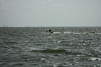 10.08.2014 11:20:44
August 2014
Ostsee-Fotos