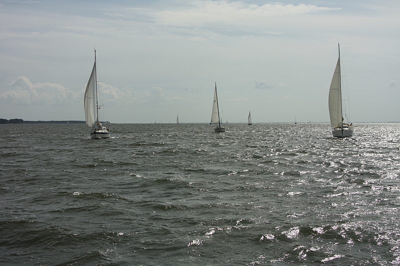 © R.Thiel
10.08.2014 11:17:48
August 2014
Ostsee-Fotos